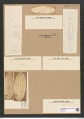 Diatomeae indet. Zeichnungen Sammlung Grunow Nr. 5507 (NHMW-BOT-W0373948)